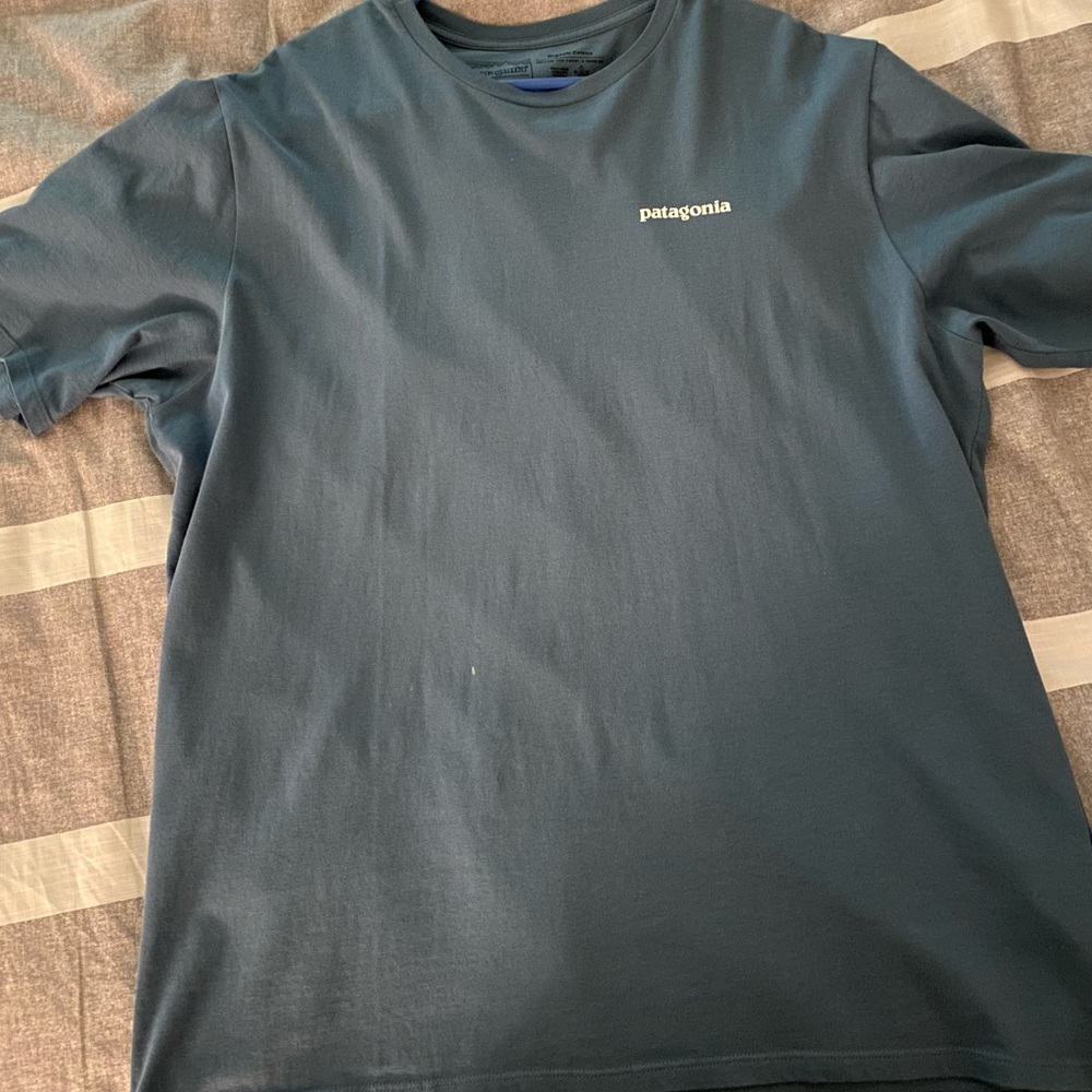 Patagonia tee